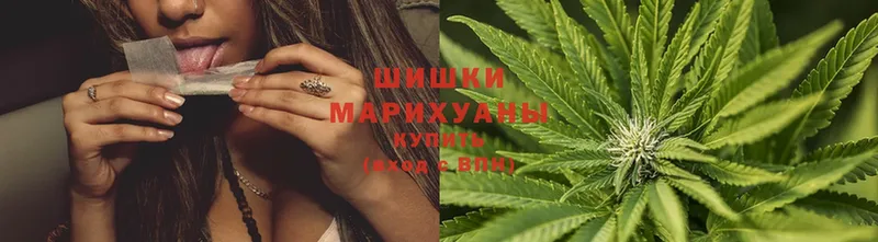 Конопля Ganja  МЕГА tor  Ставрополь 